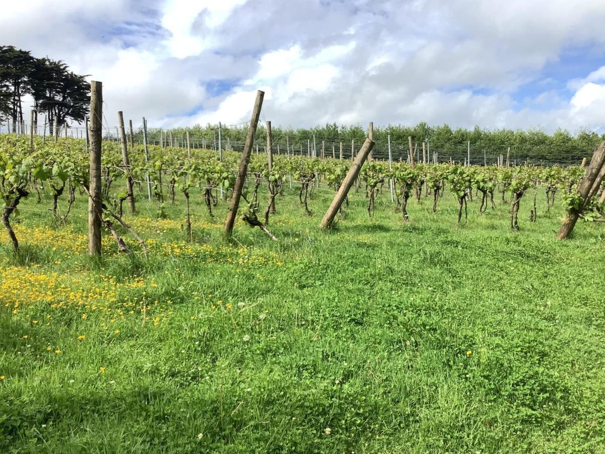 Апартаменты Polgoon Vineyard Annex Пензанс Экстерьер фото